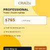 Professional - Trader chuyên nghiệp nền vàng